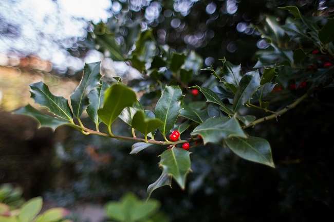 Выходные в Ужгороде: куда пойти и что посмотреть
